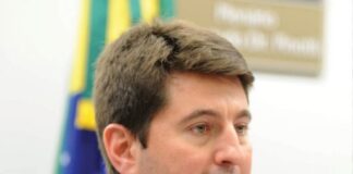 ARTIGO – ARROZ NO PRATO