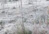 TEMPERATURAS ABAIXO DE ZERO EM PELOTAS E ZONA SUL – Podcast