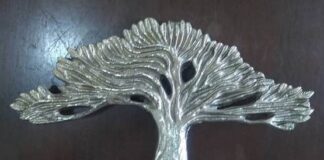 DESTAQUE DE SÁBADO: A FIGUEIRA DE BRONZE
