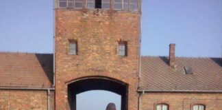 ARTIGO: ARBEIT MACHT FREI – 80 ANOS