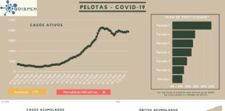 PESQUISA ANALISA EVOLUÇÃO DA COVID-19 EM PELOTAS NOS ÚLTIMO 65 DIAS