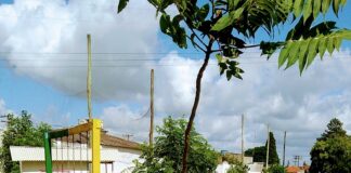 CAMPANHA: PELOTAS VERDE E MULTICOLORIDA NO INSTITUTO DE MENORES DOM ANTÔNIO ZATTERA
