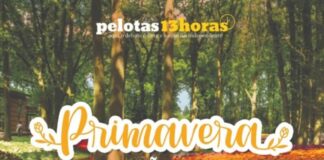 FRUTÍFERAS NAS RUAS