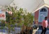 DRIVE AMBIENTAL DISTRIBUI MAIS DE MIL MUDAS DE PLANTAS NATIVAS