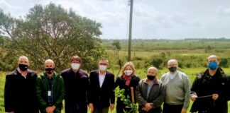 PELOTAS VERDE E MULTICOLORIDA E CICLO VERDE: PLANTIO DE 1.144 MUDAS MARCA O DIA DA ÁRVORE – Podcast