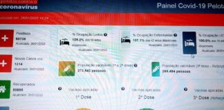 PANDEMIA: PELOTAS NO LIMITE