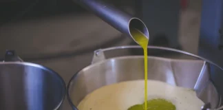 OLIVICULTORES DO RS INVESTEM MAIS DE R$ 150 MI EM UM ANO PARA AMPLIAR PRODUÇÃO – Podcast