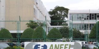 GOVERNO DO RS DISCUTIRÁ COM A ANEEL PROJETO DA TÉRMICA DE RIO GRANDE