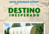 DESTINO INESPERADO – NOVO LIVRO DE ARITA CHEUÍCHE GODOY – Podcast