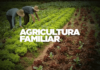 ARTIGO – AGRICULTURA FAMILIAR EM PELOTAS: CRÉDITO E DIVERSIFICAÇÃO