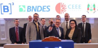 CEEE-G VENDIDA POR R$ 928 MILHÕES
