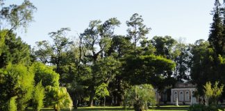 PELOTAS INVESTINDO EM DEFESA DO MEIO AMBIENTE