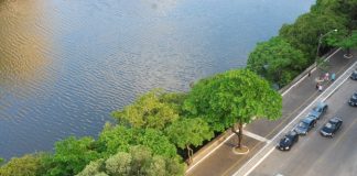 ARTIGO – EM DIREÇÃO AO LARANJAL PELA BEIRA DO CANAL SÃO GONÇALO