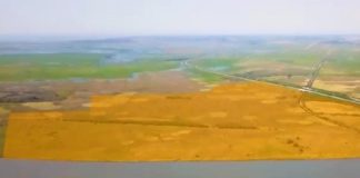 PROJETO DE NOVO PORTO PARA RIO GRANDE TEM PRIMEIRO AVAL AMBIENTAL – Podcast