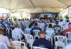 ABERTURA OFICIAL DA COLHEITA DO ARROZ SERÁ NO CAPÃO DO LEÃO
