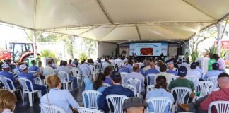 ABERTURA OFICIAL DA COLHEITA DO ARROZ SERÁ NO CAPÃO DO LEÃO