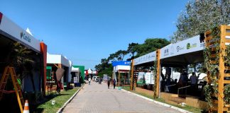 33a. ABERTURA OFICIAL DA COLHEITA DO ARROZ COMEÇA NESTA TERÇA-FEIRA, 14