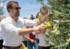 GOVERNADOR EDUARDO LEITE PARTICIPA DA ABERTURA OFICIAL DA COLHEITA DA OLIVA – Podcast