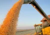 A IMPORTÂNCIA DO AGRO E DOS GAÚCHOS PARA A ECONOMIA BRASILEIRA – COMENTÁRIO DE LOURENÇO CAZARRÉ – Podcast