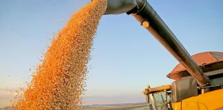 A IMPORTÂNCIA DO AGRO E DOS GAÚCHOS PARA A ECONOMIA BRASILEIRA – COMENTÁRIO DE LOURENÇO CAZARRÉ – Podcast