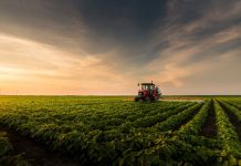 CNPJ RURAL FICA PARA 2027, MAS PRODUTOR PRECISA REVISAR TRIBUTOS AGORA