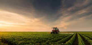 ARTIGO – BREVE HISTÓRIA DO AGRONEGÓCIO (GAÚCHO) BRASILEIRO – Podcast