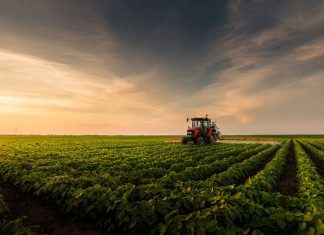 CNPJ RURAL FICA PARA 2027, MAS PRODUTOR PRECISA REVISAR TRIBUTOS AGORA