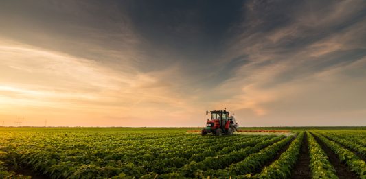 CNPJ RURAL FICA PARA 2027, MAS PRODUTOR PRECISA REVISAR TRIBUTOS AGORA