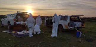 CONFIRMADA GRIPE AVIÁRIA NA RESERVA ECOLÓGICA DO TAIM