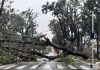 APÓS CICLONE CIDADE COMEÇA A CONTABILIZAR ESTRAGOS