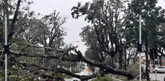 APÓS CICLONE CIDADE COMEÇA A CONTABILIZAR ESTRAGOS