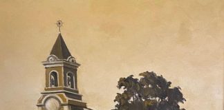 ARTIGO – ZONA DA LUZ (PARTE 3)