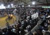 97ª EXPOFEIRA COMEÇA NESTA SEGUNDA-FEIRA EM PELOTAS