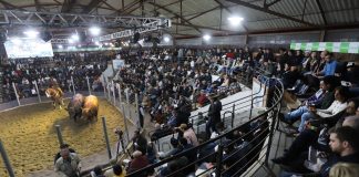 97ª EXPOFEIRA COMEÇA NESTA SEGUNDA-FEIRA EM PELOTAS