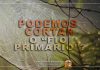 ARTIGO – PODEMOS CORTAR O “FIO PRIMÁRIO”?