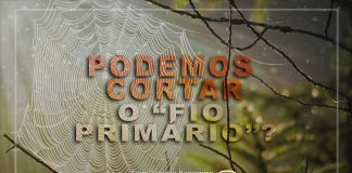 ARTIGO – PODEMOS CORTAR O “FIO PRIMÁRIO”?
