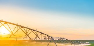 ARTIGO – A IRRIGAÇÃO NO MERCADO LIVRE DE ENERGIA: UM IMPORTANTE AVANÇO NA ATIVIDADE DE PRODUÇÃO DO AGRO