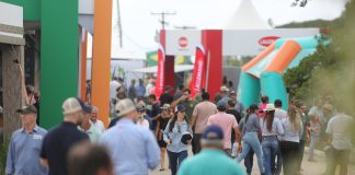 ABERTURA DA COLHEITA DO ARROZ MOVIMENTA O TURISMO E A ECONOMIA DO SUL DO RS – Podcast