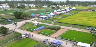 EMPRESAS E INSTITUIÇÕES MOSTRAM INOVAÇÕES NAS VITRINES DA ABERTURA DA COLHEITA DO ARROZ