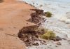 VAI COMEÇAR A RECONSTRUÇÃO DA ESTRADA DO PONTAL DA BARRA