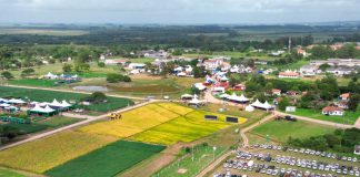 ABERTURA DA COLHEITA DO ARROZ EM TERRAS BAIXAS É DESTAQUE NA REGIÃO SUL DO RS