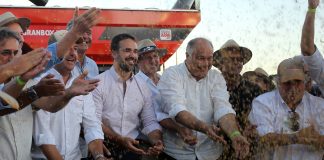 REIVINDICAÇÕES AO GOVERNO DO ESTADO MARCARAM A ABERTURA DA COLHEITA DO ARROZ – Podcast