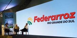 CÂMARA SETORIAL DO ARROZ DISCUTIRÁ TEMAS DE INTERESSE DO SETOR NA ABERTURA DA COLHEITA – Podcast