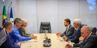 EM REUNIÃO COM ANEEL, GOVERNADOR BUSCA DESTRAVAR PROJETO DE TERMOELÉTRICA EM RIO GRANDE
