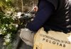 ALERTA CONTRA A DENGUE EM PELOTAS: JÁ SÃO 91 CASOS
