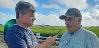 PLANFER REALIZA DIA DE CAMPO VOLTADO PARA EMPRESÁRIOS, AGROPECUARISTAS, PESQUISADORES E CLIENTES – Podcast