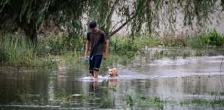 ARTIGO – A RESILIÊNCIA GAÚCHA