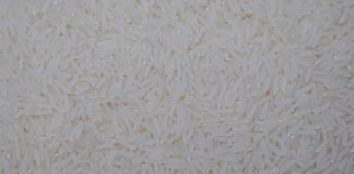 CONAB É AUTORIZADA A IMPORTAR ARROZ