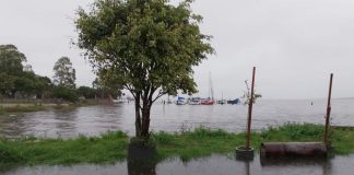 FURG PROJETA QUE ZONA SUL DO RS DEVE SER AFETADA POR INUNDAÇÕES NOS PRÓXIMOS DIAS