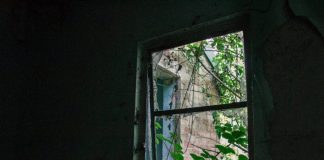 A MANSA LOUCURA DO PROFESSOR DE TEATRO E CINEMA